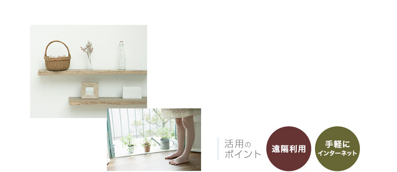 活用のポイント 遠隔利用 手軽にインターネット
