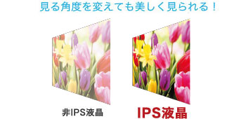 IPSt