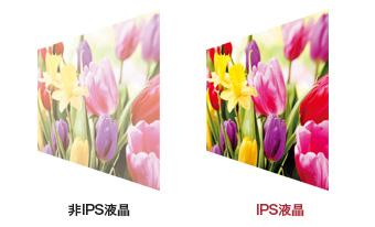 IPSt